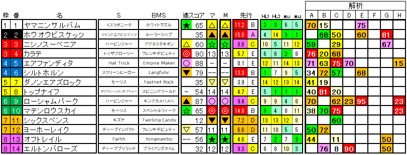 2024　毎日王冠　ラップ適性